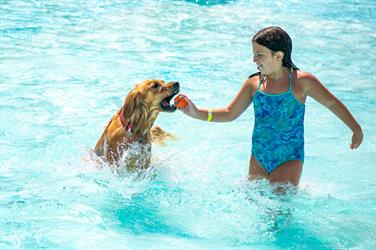 Image for: Bark in the Waterpark