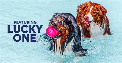 Image for: Bark in the Waterpark Featuring Lucky One Lemonade and Sweet Tea